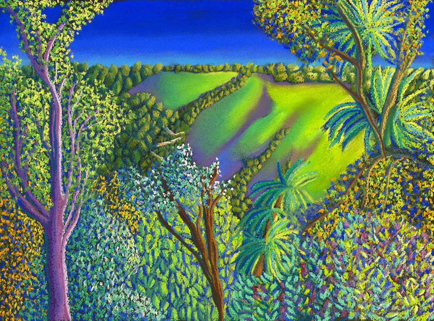 Evening Shadows; Nelson Hills, New Zealand