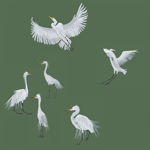 Horizon Herons – Forest Green