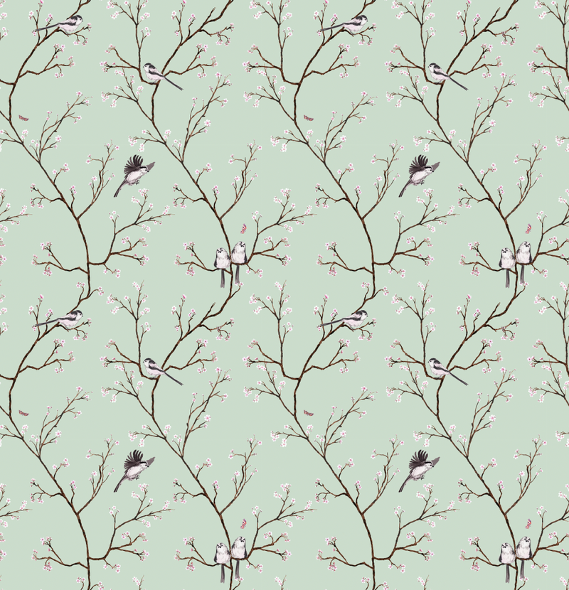 Blossom Wallpaper
