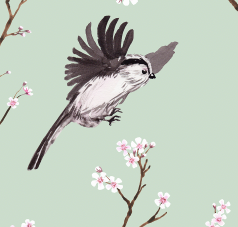 Blossom Wallpaper