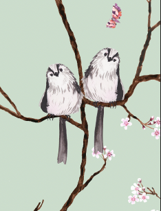 Blossom Wallpaper