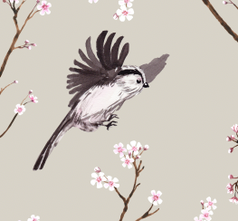 Blossom Wallpaper