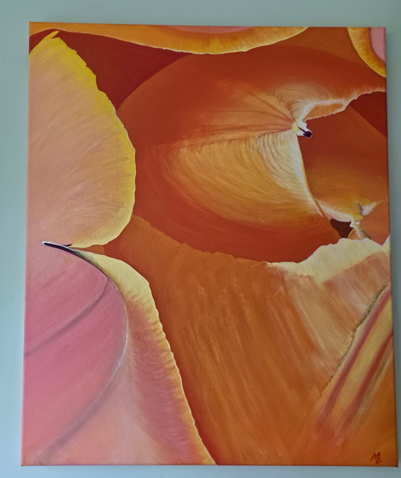 Petal Glow - Tulip Study  - Original Art