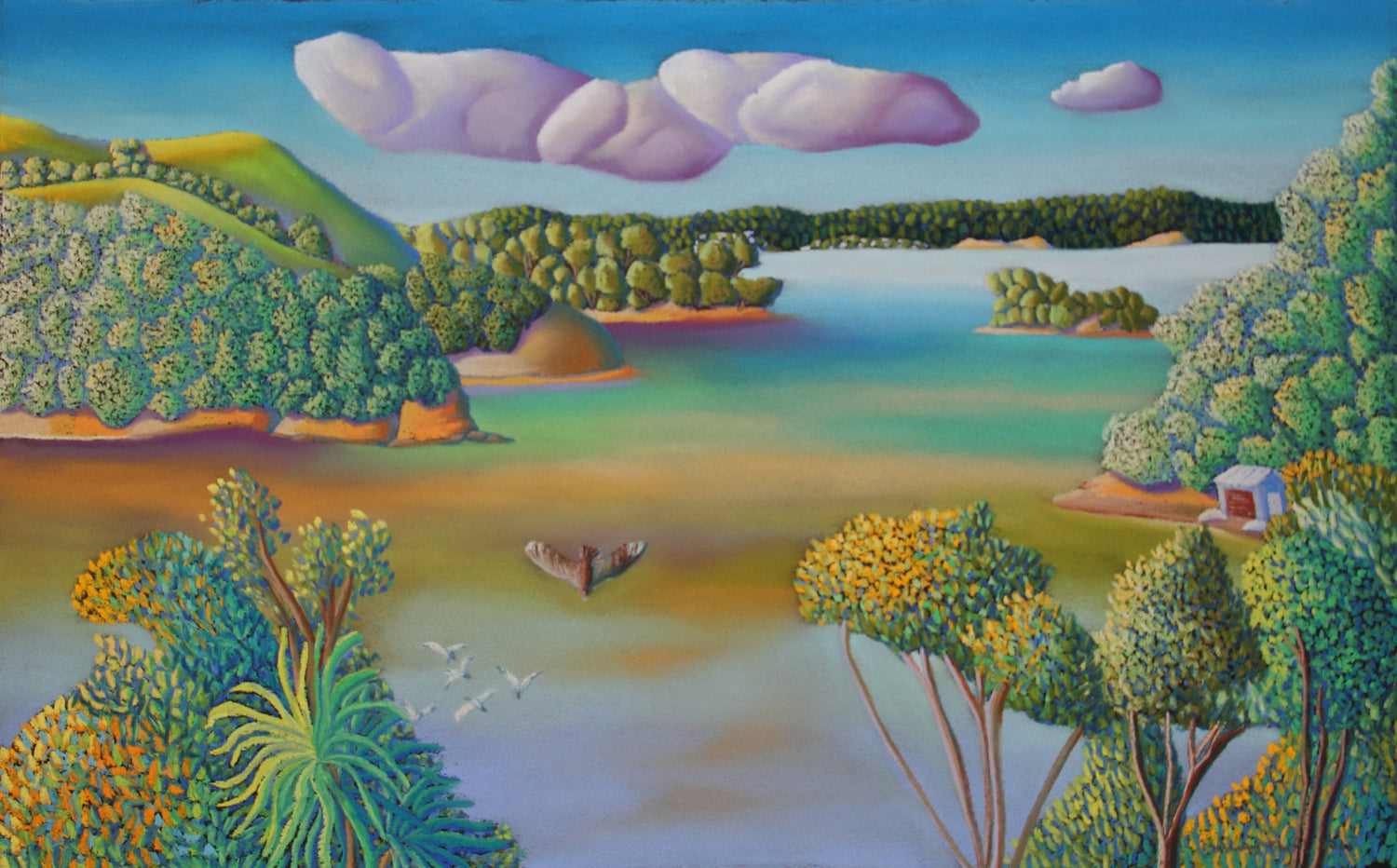 Skuia Chasing Terns on Waiheke Island New Zealand