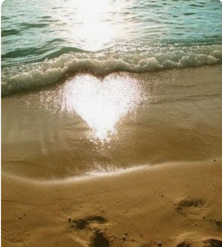 Image with text section