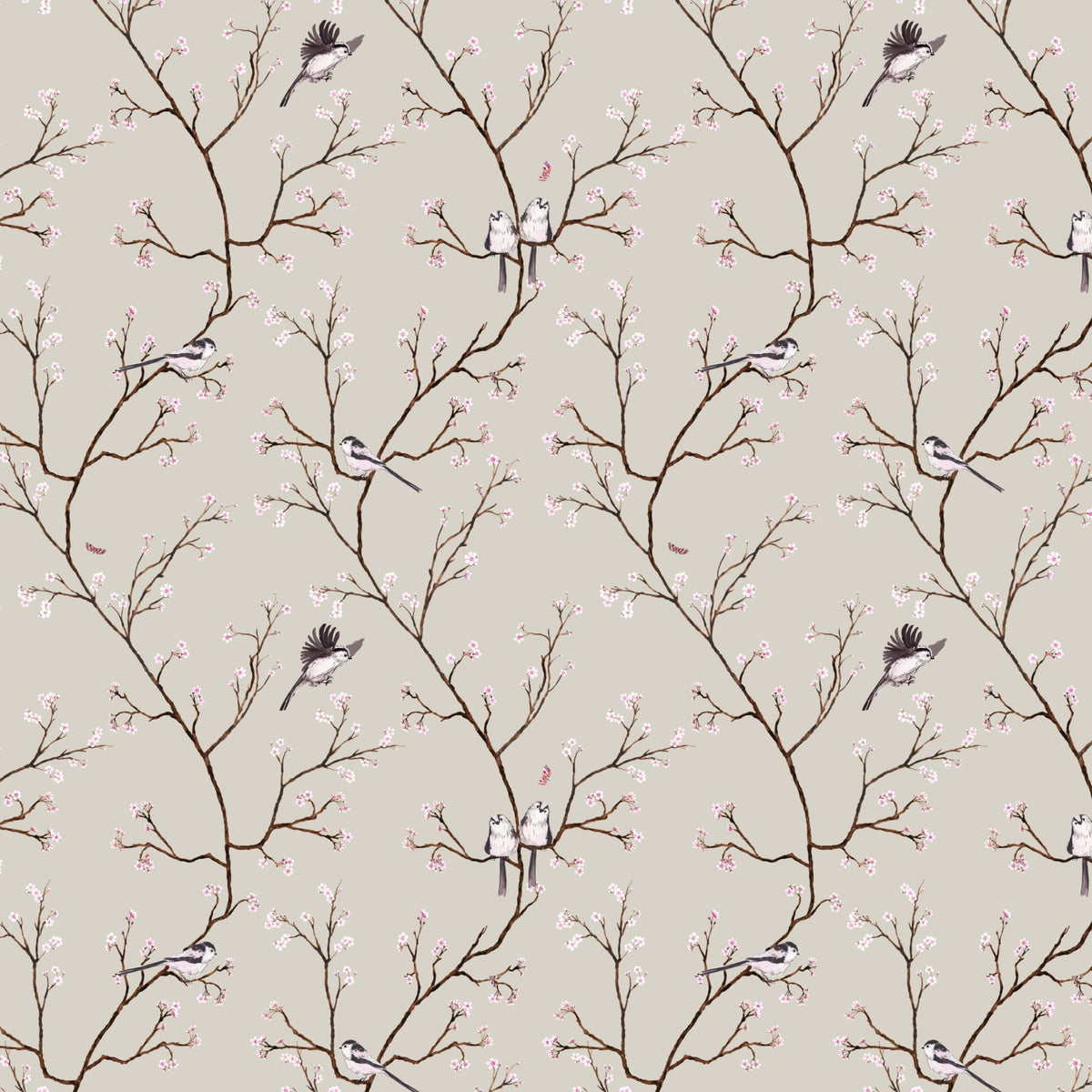 Blossom Wallpaper