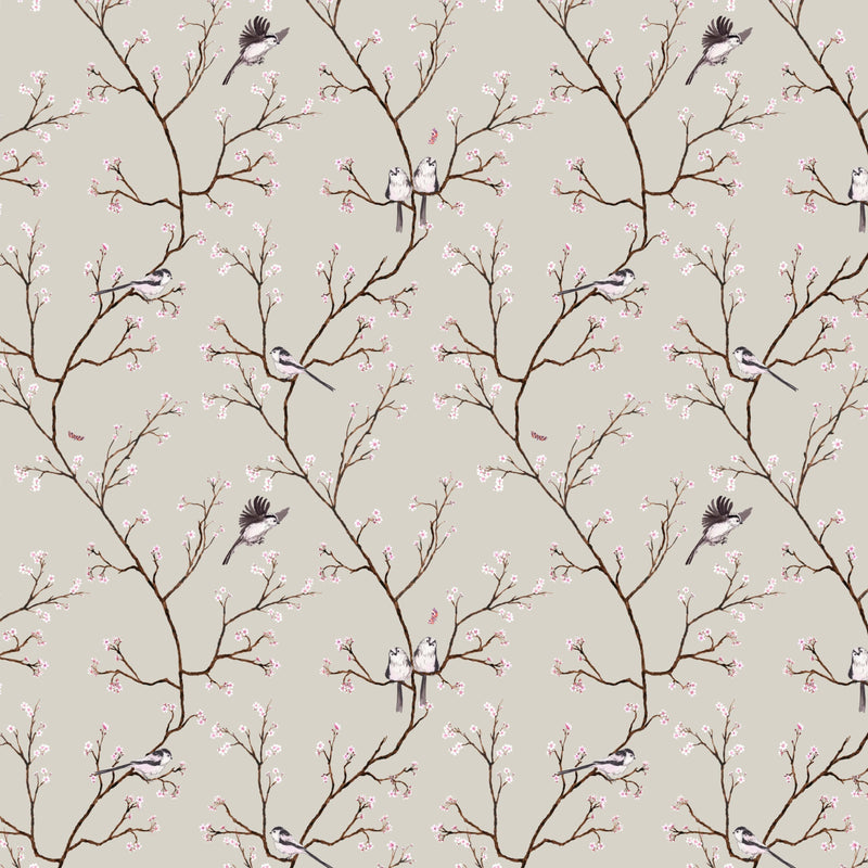Blossom Wallpaper