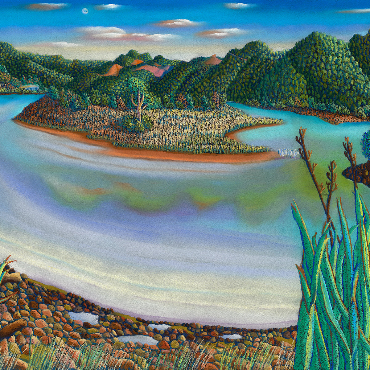 Collingwood Estuary